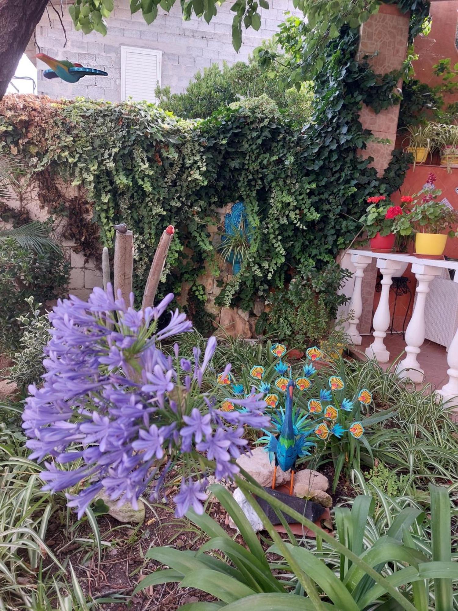 B&B Marino E Lily Baratili San Pietro Exterior foto